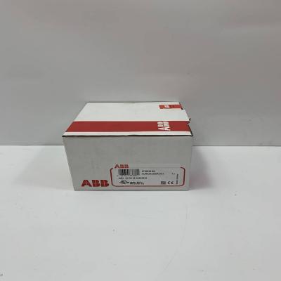 AF65-30-00-13 1SBL387001R1300