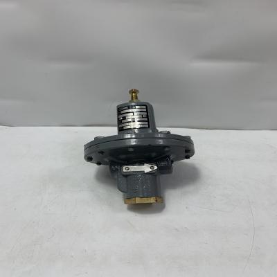 VGIPG 1P010